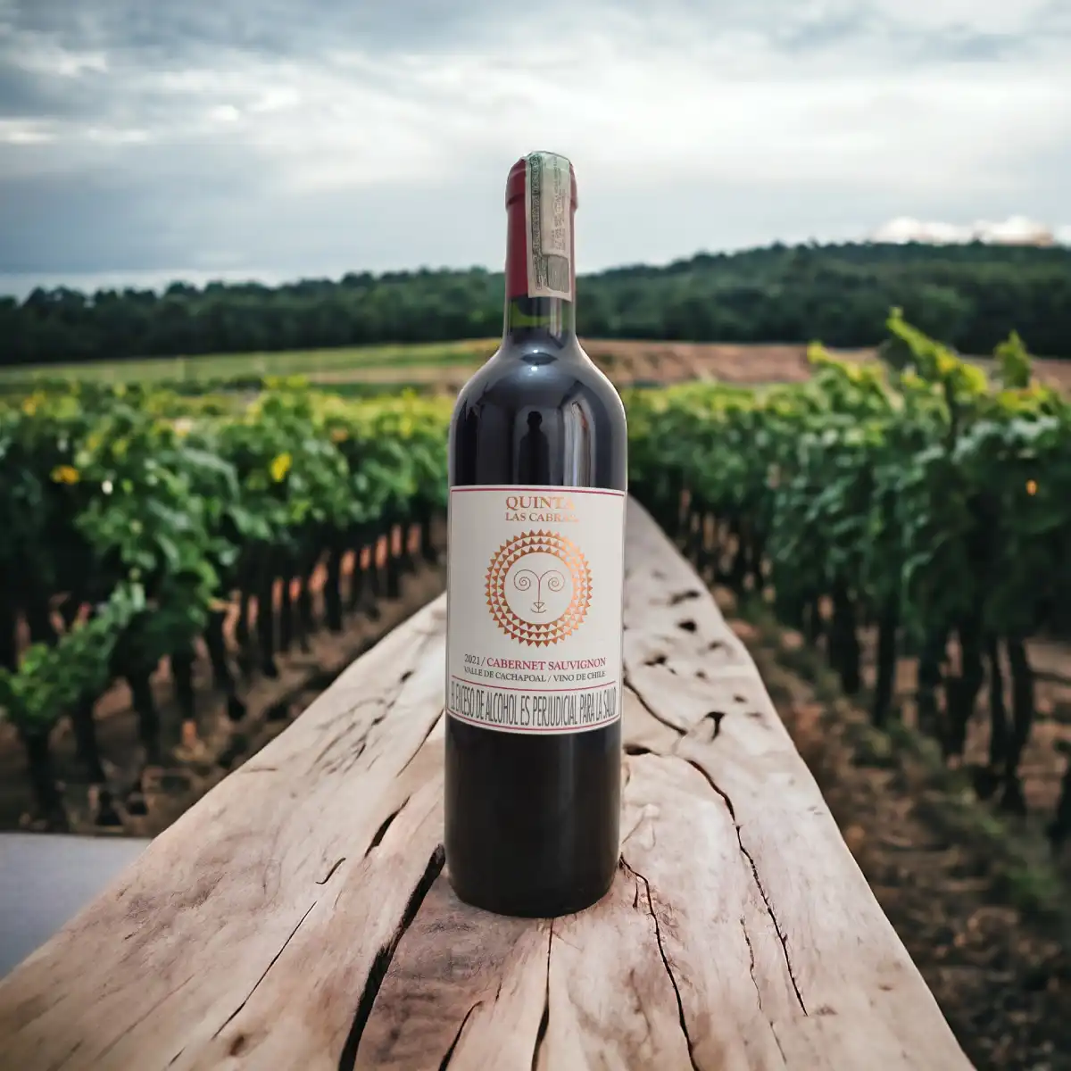 Vino Quinta las Cabras Cabernet Sauvignon